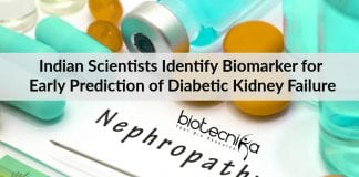 Early Prediction of Diabetic Kidney Failure