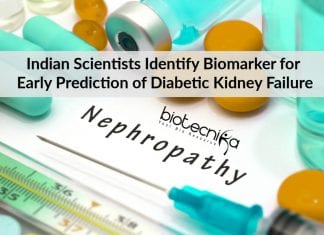 Indian Scientists Identify Biomarker For Early Prediction Of Diabetic Kidney Failure Early Prediction of Diabetic Kidney Failure
