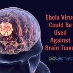 Ebola Virus to fight cancer