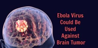 Ebola Virus to fight cancer