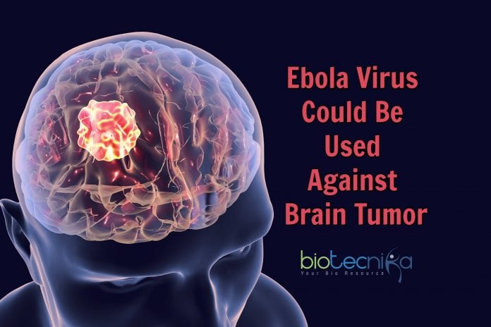 Ebola Virus to fight cancer