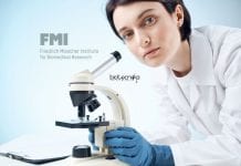 FMI, Switzerland PhD Program 2020 FMI, Switzerland PhD Program