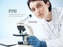 FMI, Switzerland PhD Program