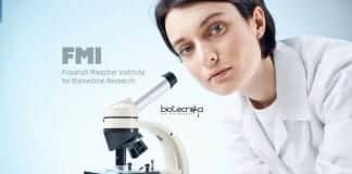 FMI, Switzerland PhD Program