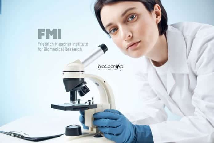 FMI, Switzerland PhD Program