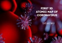 Breakthrough : First 3D Atomic-Scale Map Of Coronavirus Created First 3D Atomic Map of Coronavirus