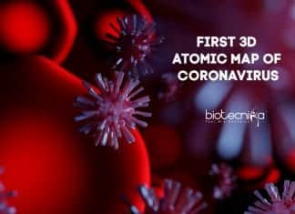 Breakthrough : First 3D Atomic-Scale Map Of Coronavirus Created First 3D Atomic Map of Coronavirus