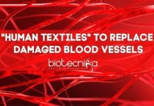 Damaged Blood Vessels Can Now Be Replaced With “Human Textiles” "Human Textiles" by Inserm researchers