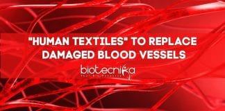 "Human Textiles" by Inserm researchers