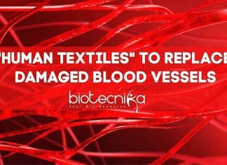 Damaged Blood Vessels Can Now Be Replaced With “Human Textiles” "Human Textiles" by Inserm researchers