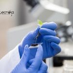 PhD Plant Molecular Biology Research Associate Job With Rs. 36,000 pm Pay Hyderabad University PhD Openings