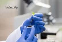 PhD Plant Molecular Biology Research Associate Job With Rs. 36,000 pm Pay Hyderabad University PhD Openings