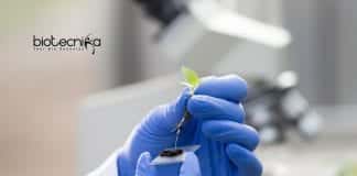 Hyderabad University PhD Openings