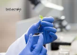 Hyderabad University PhD Openings