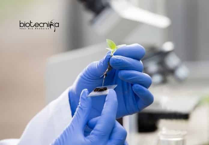 Hyderabad University PhD Openings
