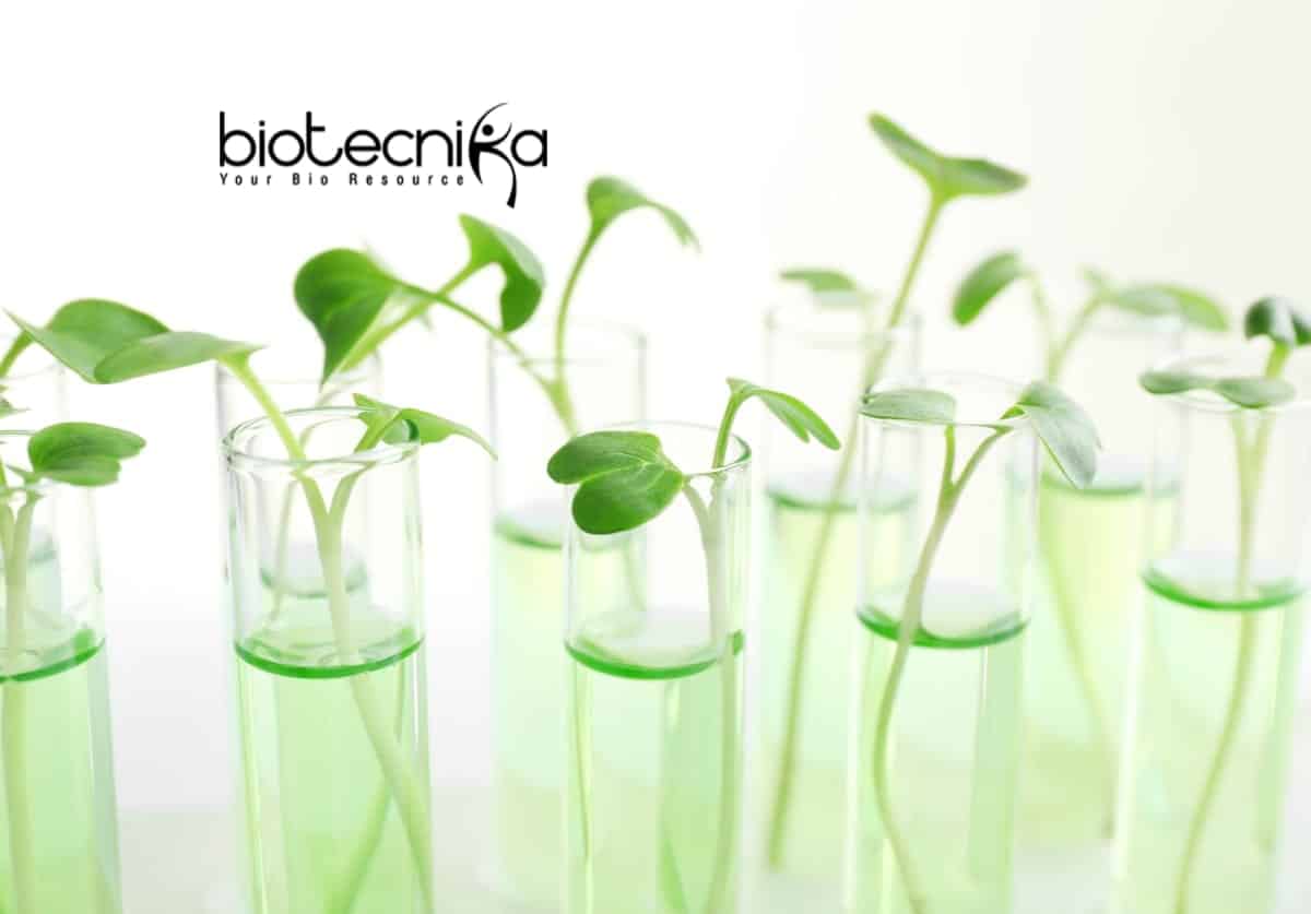 Phd thesis in biochemistry