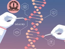 IISc BioEngineering Summer Training
