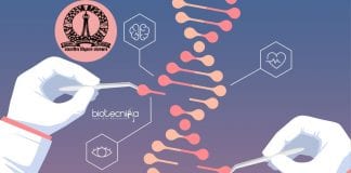 IISc BioEngineering Summer Training