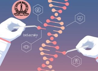 IISc BioEngineering Summer Training
