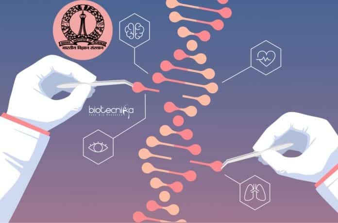 IISc BioEngineering Summer Training