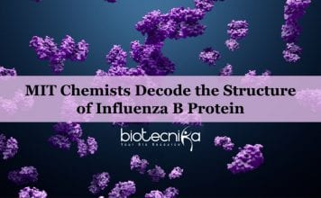 The Structure of Influenza B Protein Decoded By MIT Chemists Influenza B protein structure