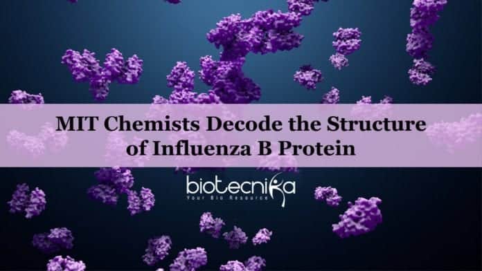 Influenza B protein structure
