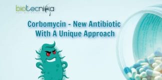 New antibiotic for antibiotic resistant bacteria