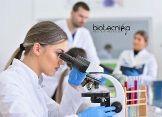 Novartis Job Opening