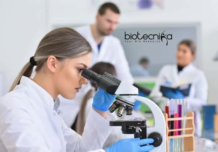 Novartis Job Opening