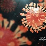 Oncolytic Viruses - The Powerful New Therapeutic Agents In Cancer Therapy