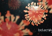 Oncolytic Viruses – The Powerful New Therapeutic Agents In Cancer Therapy Oncolytic Viruses - The Powerful New Therapeutic Agents In Cancer Therapy