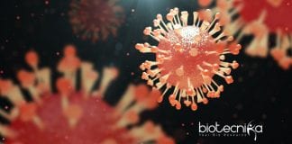 Oncolytic Viruses - The Powerful New Therapeutic Agents In Cancer Therapy