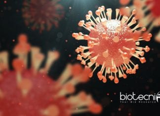 Oncolytic Viruses – The Powerful New Therapeutic Agents In Cancer Therapy Oncolytic Viruses - The Powerful New Therapeutic Agents In Cancer Therapy