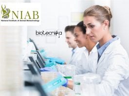 Research Scholars Program 2020