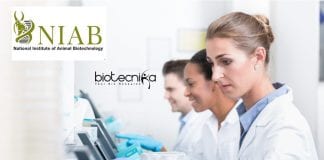 Research Scholars Program 2020