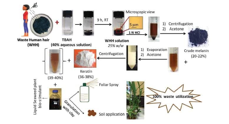 Bio fertilizer extracted from waste human hair