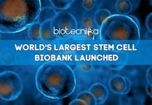 World’s Largest Stem Cell Bio-Bank Launched World's Largest Stem Cell Biobank At Lund University