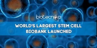 World's Largest Stem Cell Biobank At Lund University