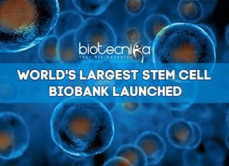 World’s Largest Stem Cell Bio-Bank Launched World's Largest Stem Cell Biobank At Lund University