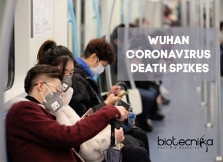 Wuhan-Coronavirus-Deaths-Spike