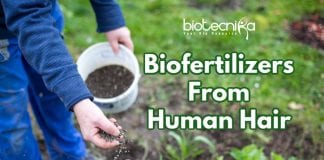 bio fertilizer from human hair