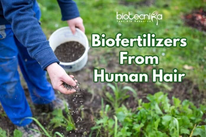 bio fertilizer from human hair