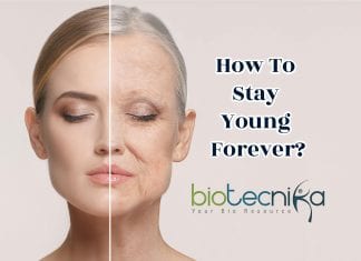 How Social Experiences Can Determine How Old You Look chronological age and biological age