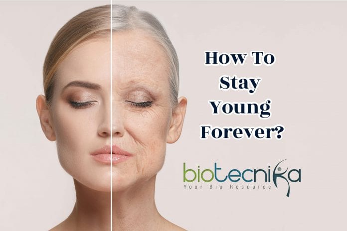 chronological age and biological age
