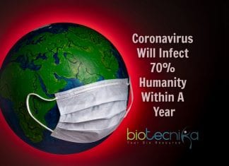 Coronavirus Outbreak Will Infect Up To 70% of Humanity Says Harvard Scientists coronavirus will infect 70% humanity