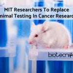 electrospun synthetic cell scaffolds