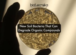This Newly Identified Soil Bacteria Can Fight Pollutants & Climate Change new soil bacteria degrade pollutants