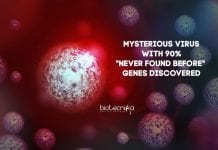 Novel Virus With 90% “Never Found Before” Genes Discovered new-virus-with-no-recognizable-genes