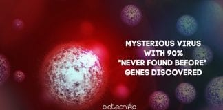 new-virus-with-no-recognizable-genes