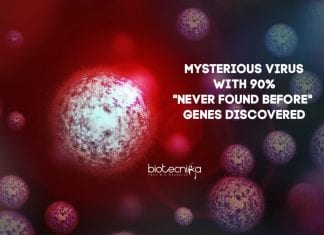 new-virus-with-no-recognizable-genes